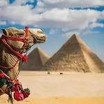 Civilization Misr Pyramids -Foreiigners Only