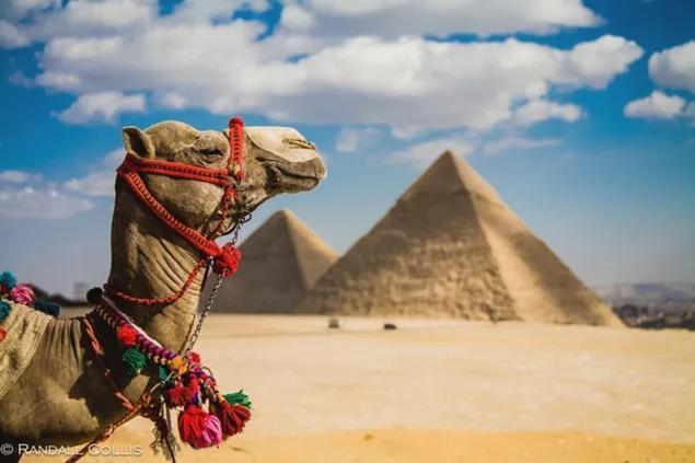 Civilization Misr Pyramids -foreiigners Only Hotel 4*